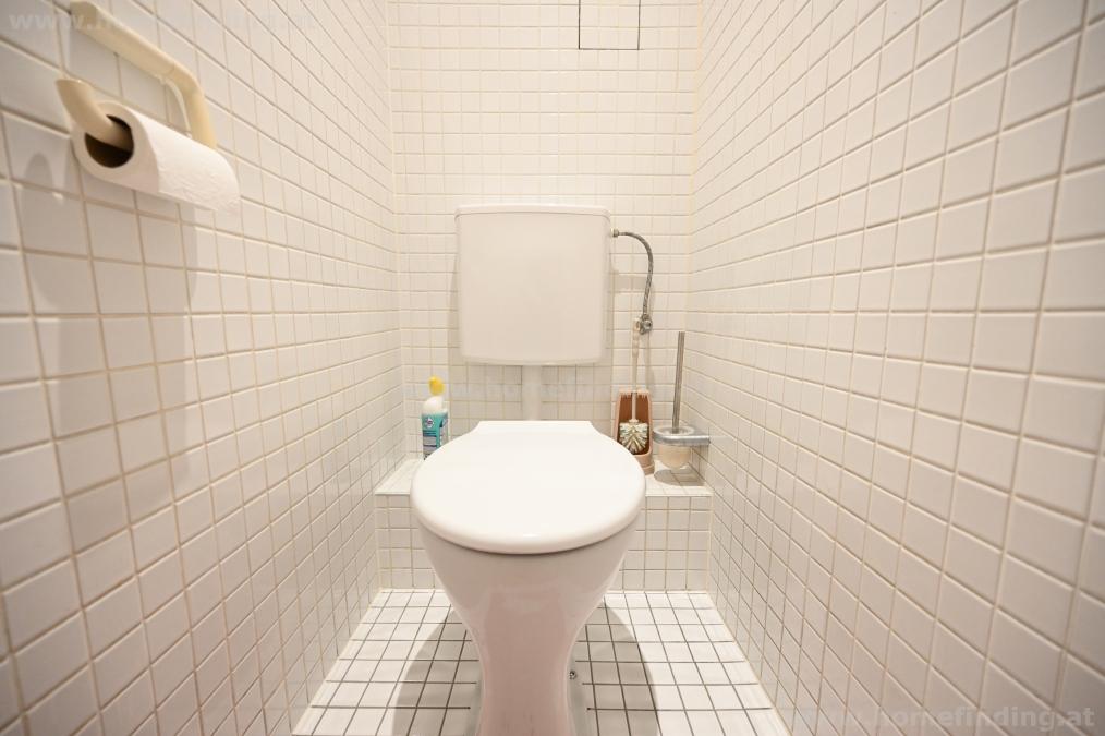 Praternähe: moderne 2-Zimmer-Terrassenwohnung - befristet