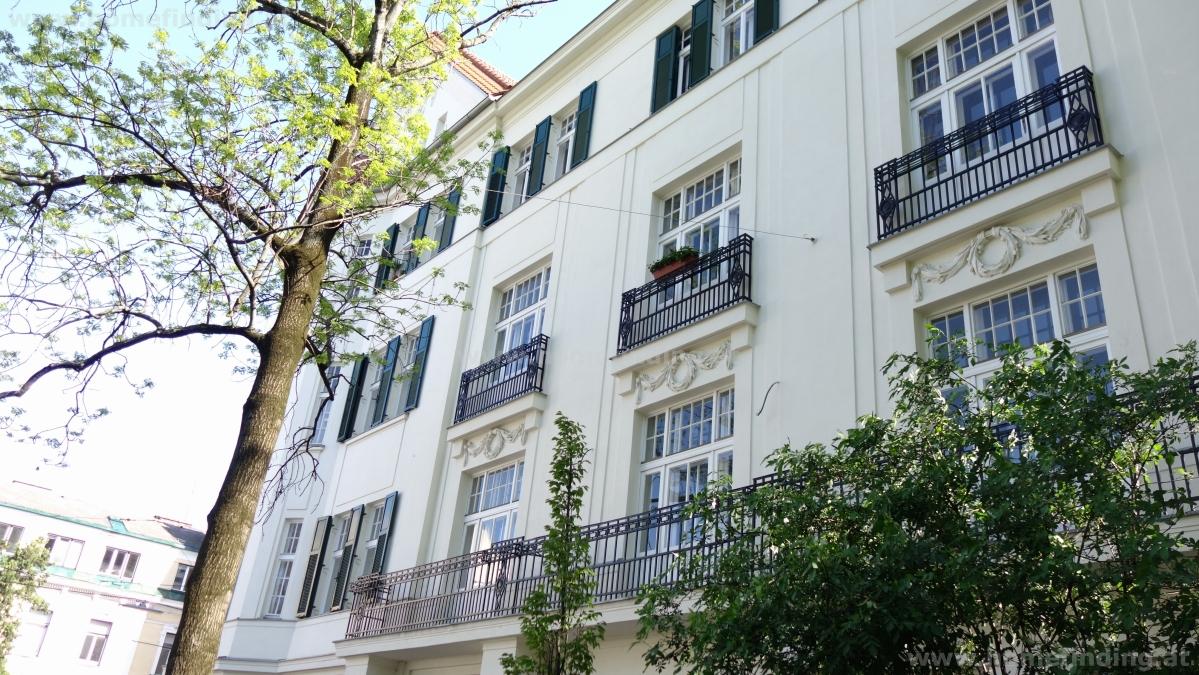 nice oldstyle apartment with terrace close to Krottenbachstraße