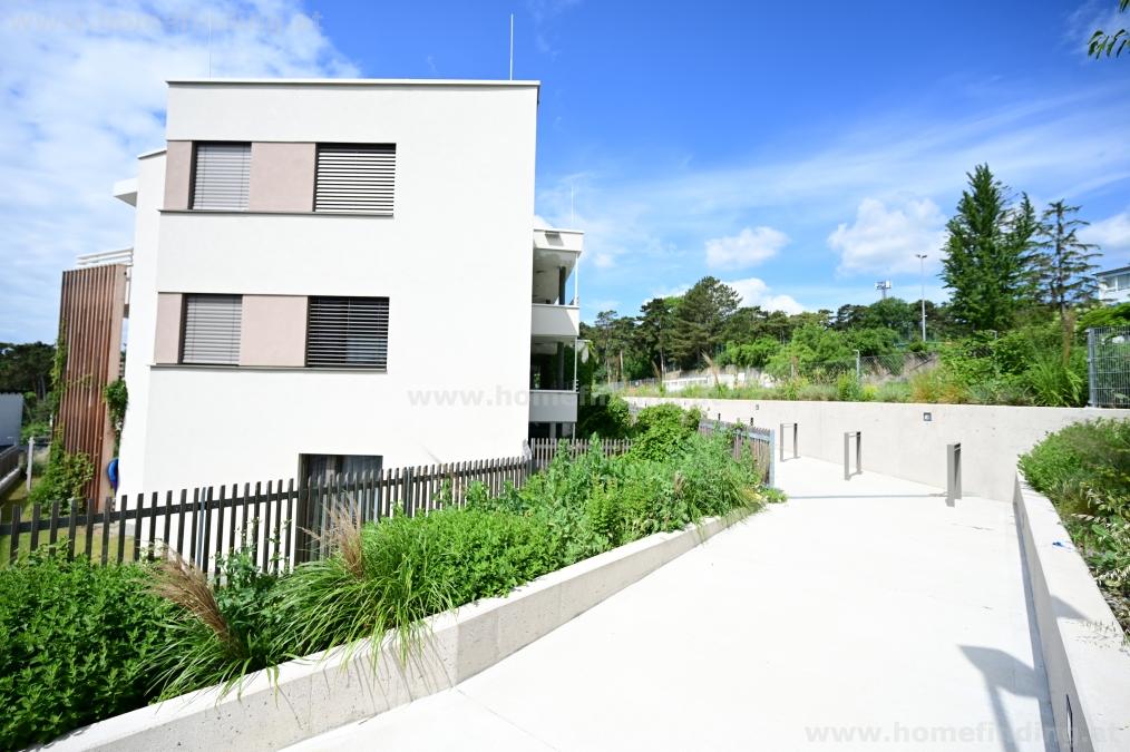 2 rooms, garden, garage possible