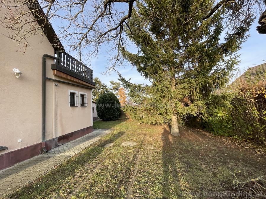 small house with garden in Angern an der March