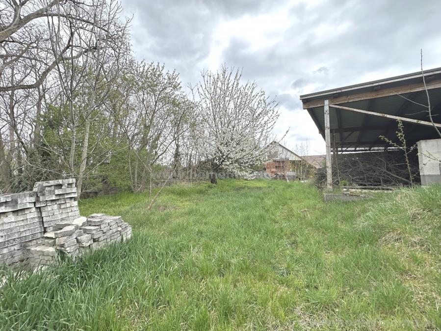 Einfamilienhaus mit großem Garten in Potzneusiedl