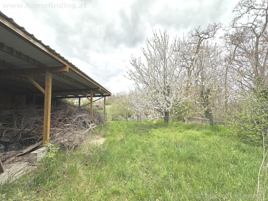 Einfamilienhaus mit großem Garten in Potzneusiedl