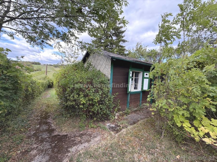 Traumgrundstück am Weinberg: Großzügiges Baugrundstück (1.295 m²) in Bestlage Perchtoldsdorf