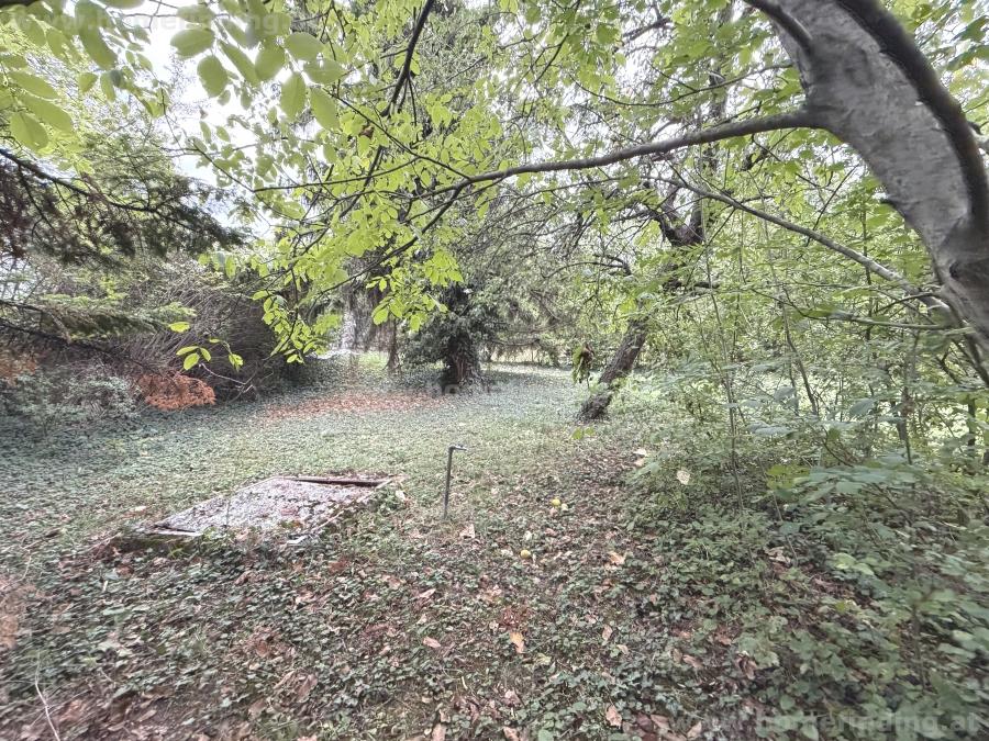 Traumgrundstück am Weinberg: Großzügiges Baugrundstück (1.295 m²) in Bestlage Perchtoldsdorf