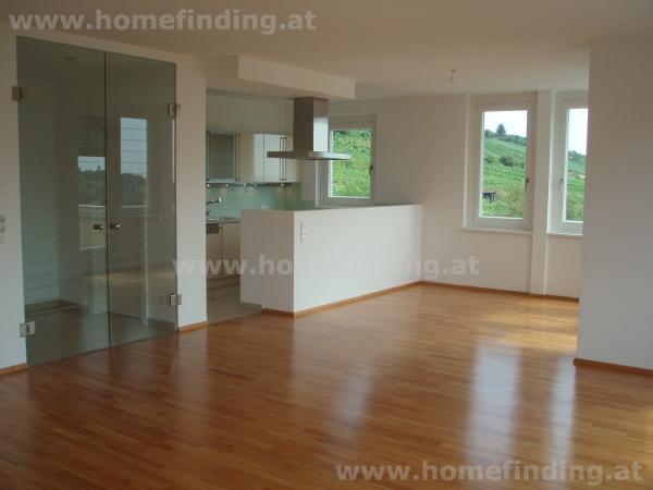 modern apartment in Salmannsdorf