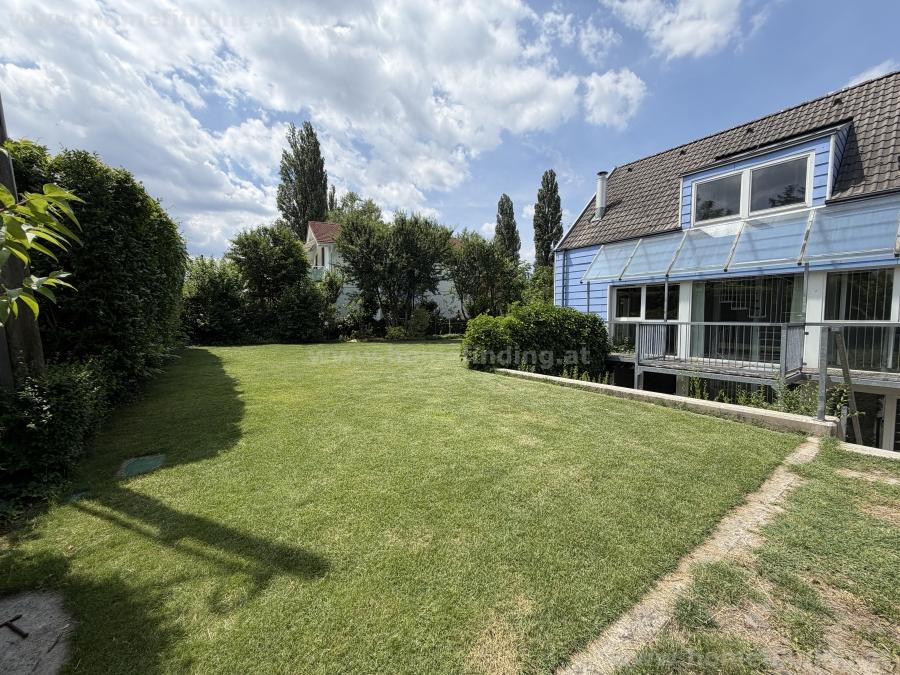 nur 100m zur Alten Donau: sonniges Einfamilienhaus - 4 Schlafzimmer
